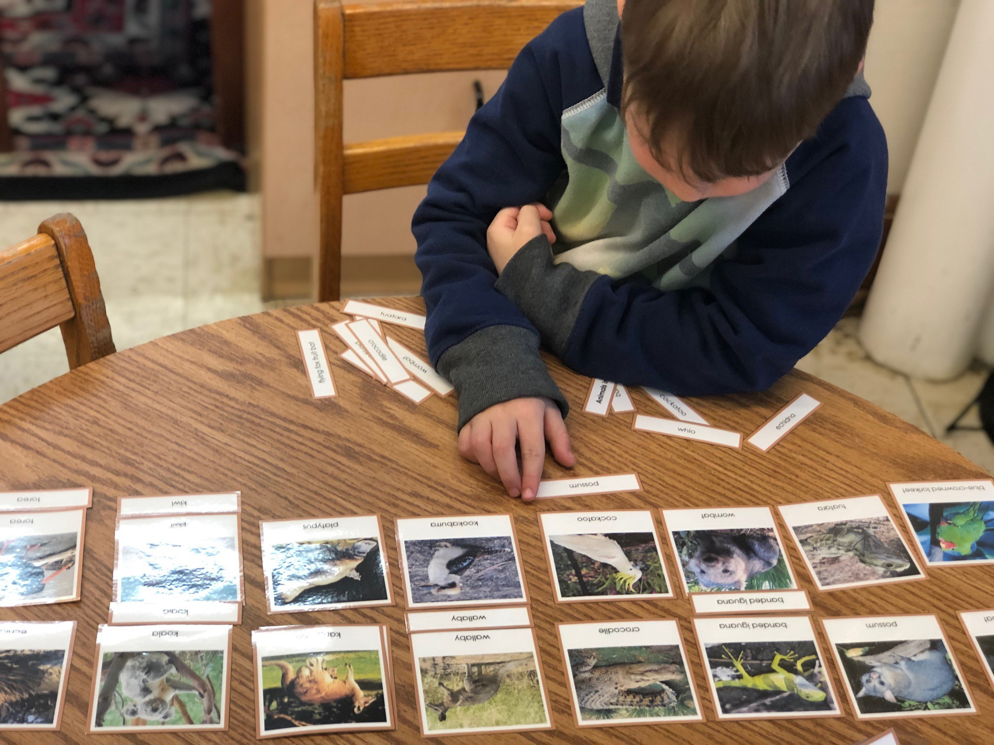 Matching-animals-in-a-Montessori-in-WI